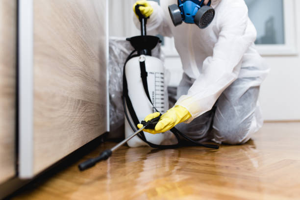 Best Pest Control for Homes  in Old Tappan, NJ