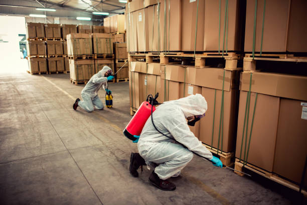 Best Pest Control Near Me  in Old Tappan, NJ