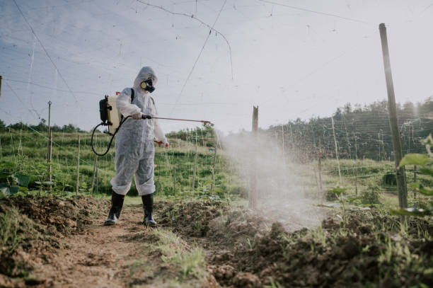 Best Ant Control Services  in Old Tappan, NJ