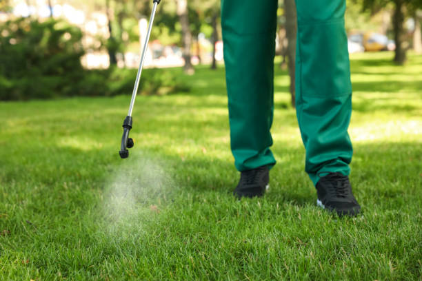 Best Wasp Removal Services  in Old Tappan, NJ