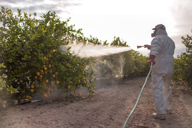 Best Ant Control Services  in Old Tappan, NJ
