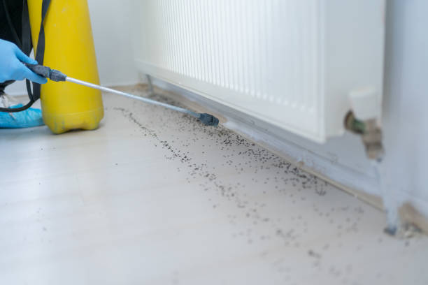 Old Tappan, NJ Pest Control Company